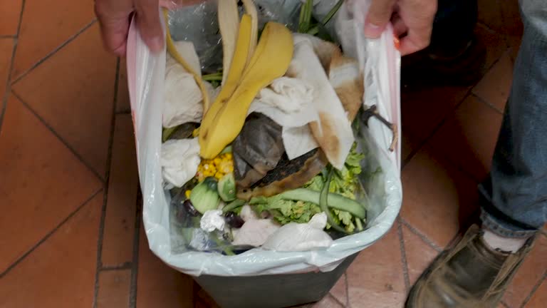 Best Construction Debris Removal  in Lexington, WA